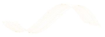 Passage Mobile Vibrational Therapy